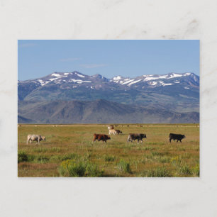 Carte Postale California HWY 395 Paysage