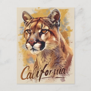Carte Postale California Mountain Lion Cougar Portrait
