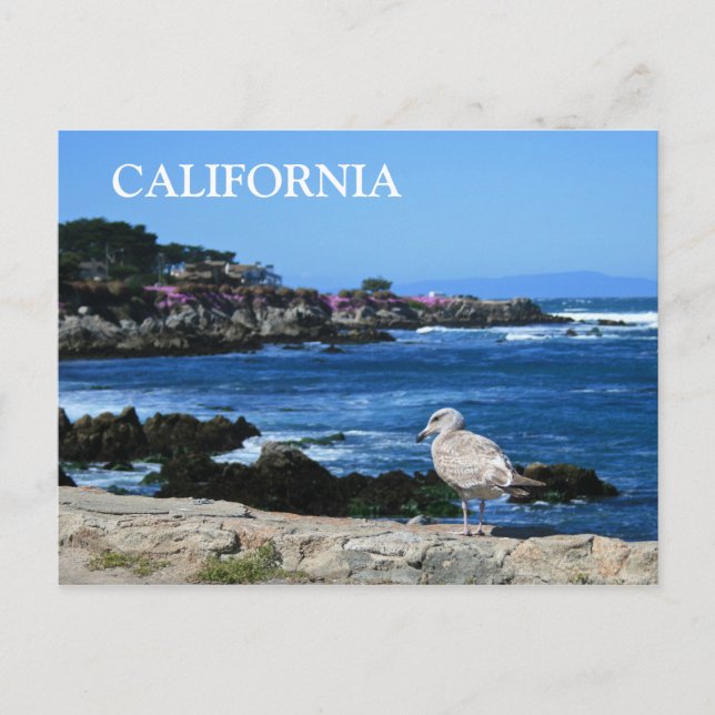 Carte postale California, Pacifique (Devant)