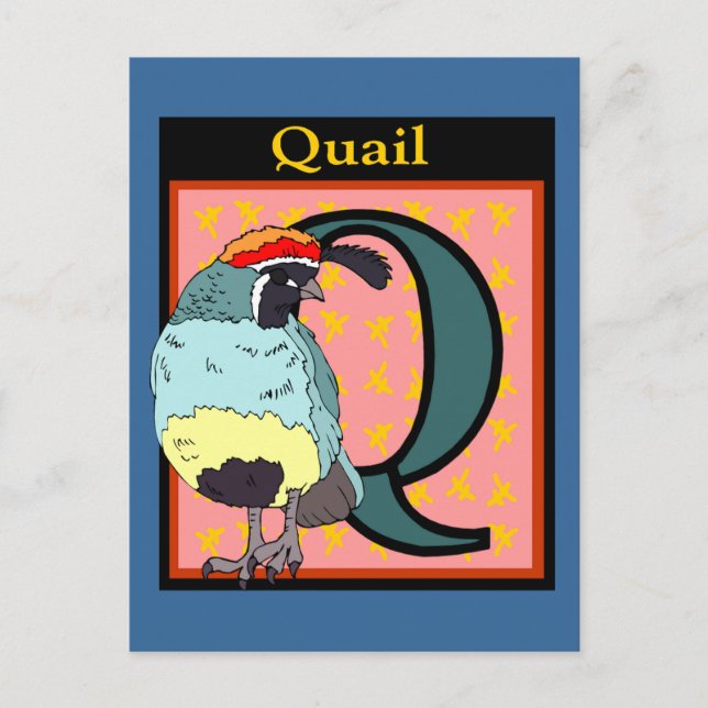 Carte Postale California Quail Bird (Devant)