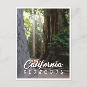 Carte postale California Redwoods