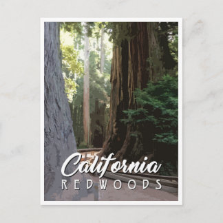Carte postale California Redwoods