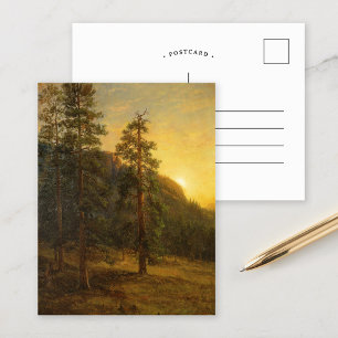 Carte Postale California Redwoods   Albert Bierstadt
