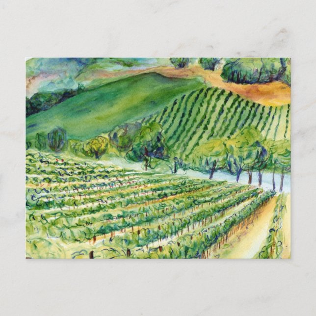 Carte postale California Vineyard (Devant)