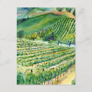 Carte postale California Vineyard
