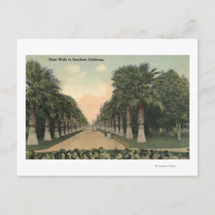 Carte Postale CaliforniaPalms Allong Road