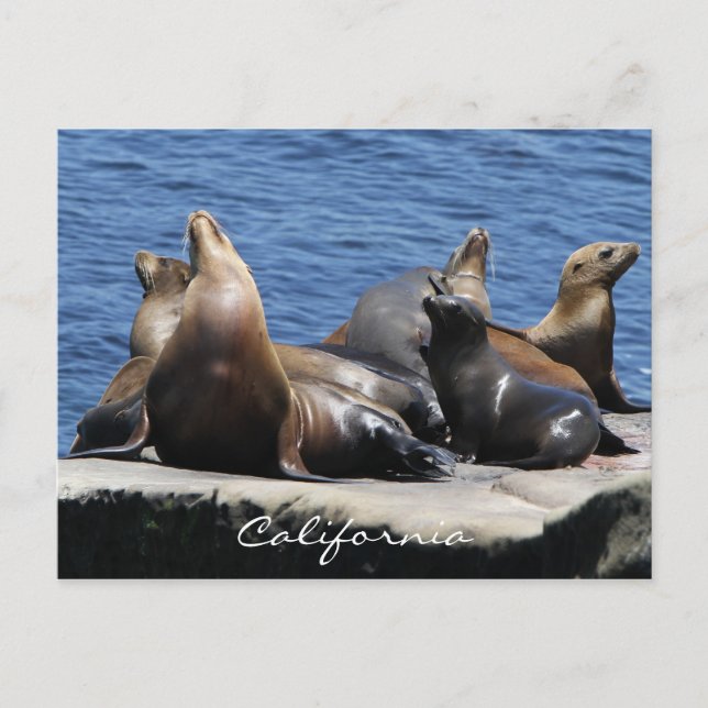 Carte Postale Californie (Devant)