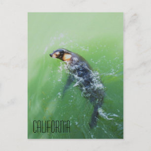 Carte Postale Californie