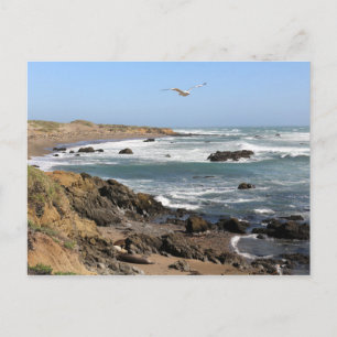 Carte Postale Californie