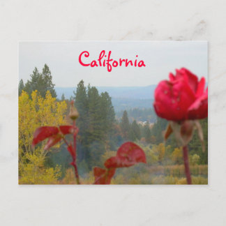 Carte Postale Californie à fleurs
