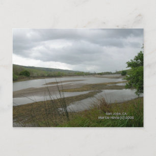 Carte Postale Californie - Coyote Creek