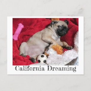 Carte Postale Californie Dreaming Peanut le Carlin