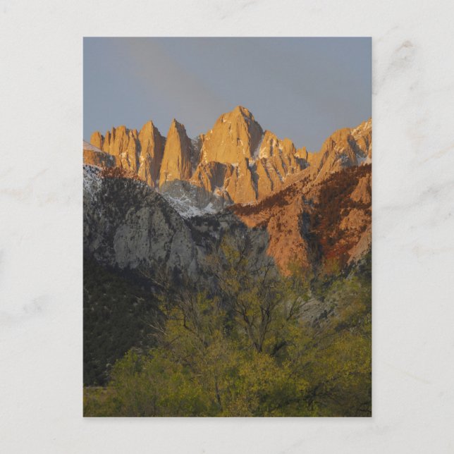 Carte Postale Californie, Mont Whitney, Inyo National Forest 3 (Devant)