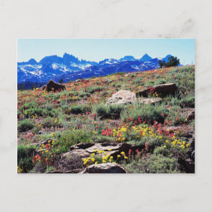 Carte Postale Californie, Montagnes de la Sierra Nevada 1