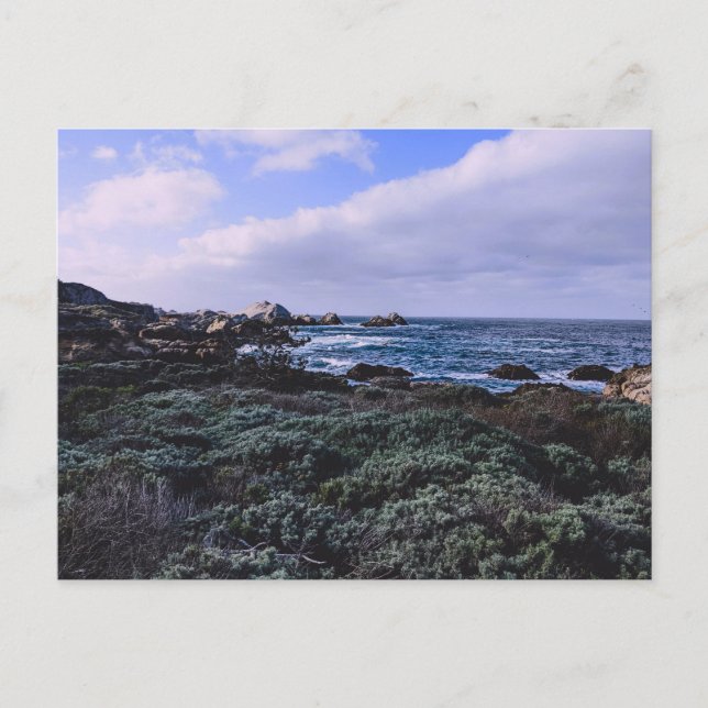 Carte Postale Californie Pacific Coast Point Lobos Monterey (Devant)