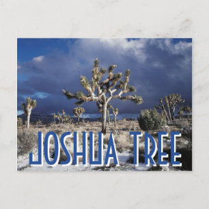 Carte Postale Californie, parc national de Joshua Tree