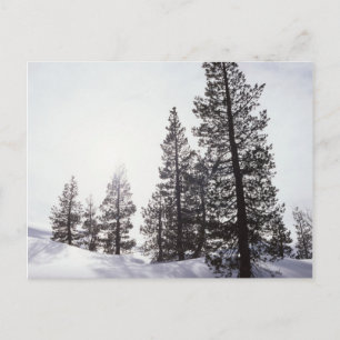 Carte Postale Californie, Rancho Cuyamaca State Park