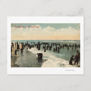 Carte Postale CalifornieFoules Nager sur la côte Pacifique