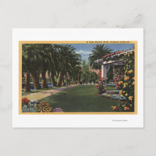Carte Postale CalifornieUne promenade ombragée aux palmiers