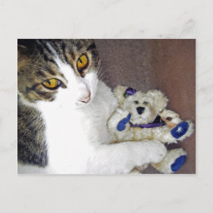 Carte Postale Câlins d'ours