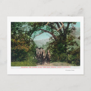 Carte Postale Calistoga et Geyser Stagecoach sur Foss Road