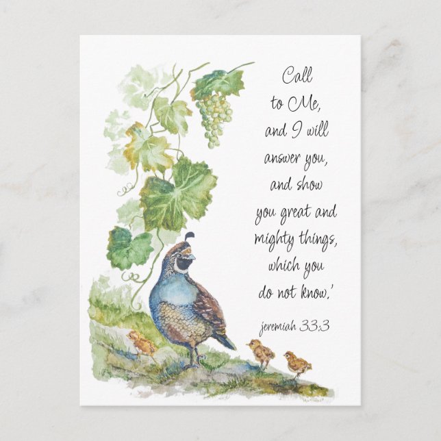 Carte Postale Call to Me Scripture Inspiration California Quail  (Devant)