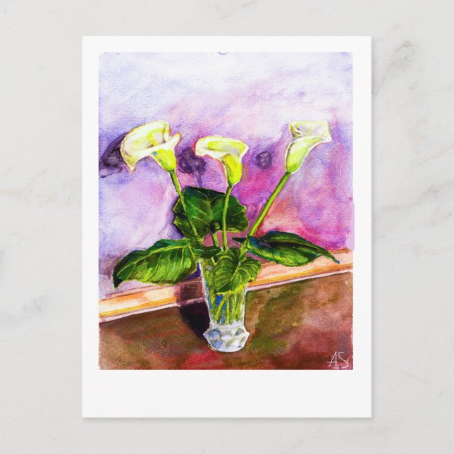 Carte Postale Calla Lilis (Devant)