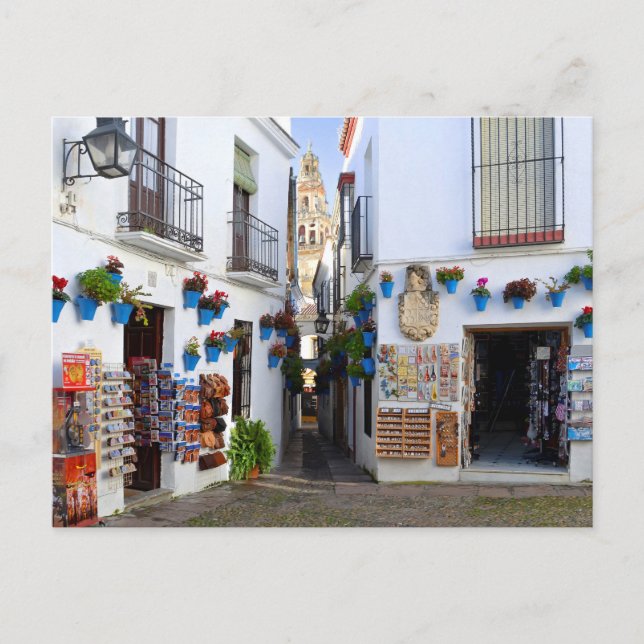 Carte Postale Calleja de las Flores (Devant)