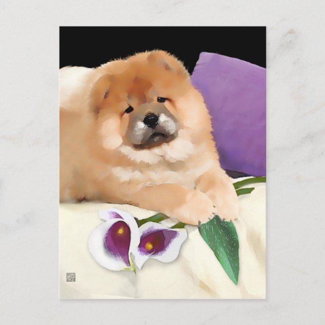 Carte Postale CALLIE heARTdog chow postcard (Devant)