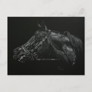 Carte Postale Calling