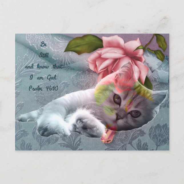Carte postale Calm cat confort scripture (Devant)