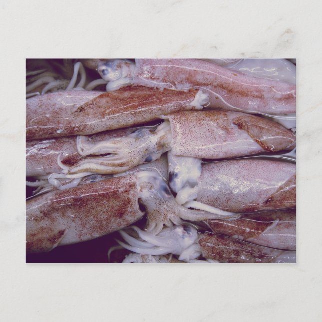 Carte Postale Calmar (Devant)