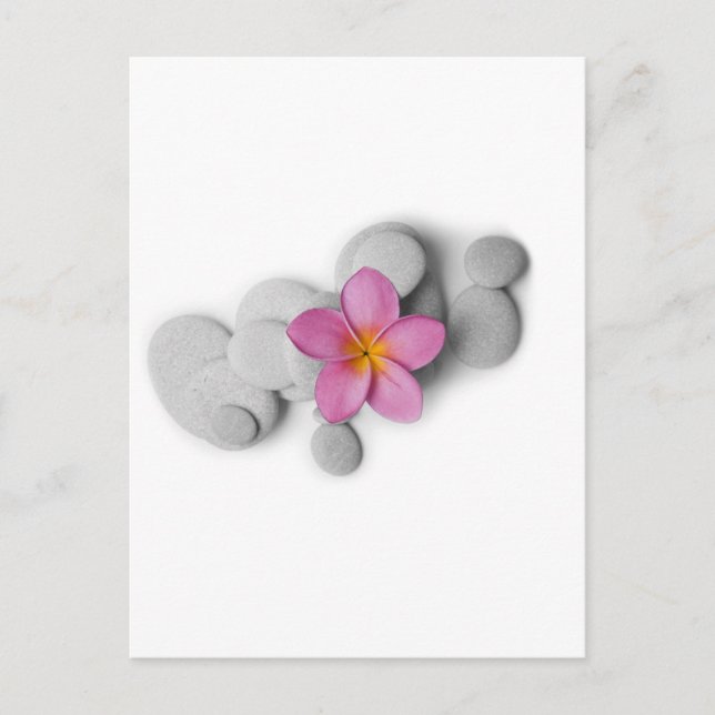 Carte Postale Calme de Frangipani (Devant)
