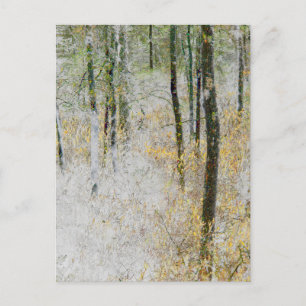 Carte Postale "Calme" - Photo transformée d'arbres dans une forê