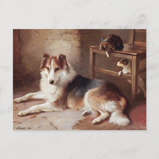 Carte Postale Camarades - Chien Kitten - Chien