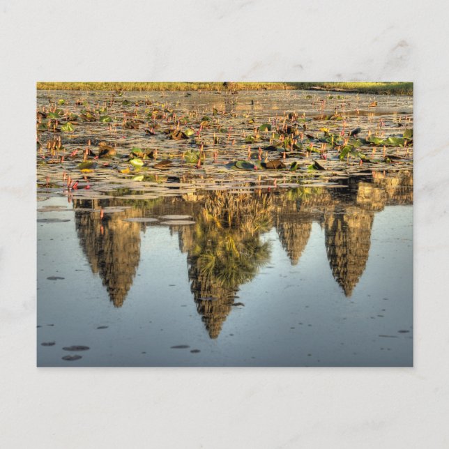 Carte Postale Cambodge, Angkor Wat. Reflet du temple (Devant)