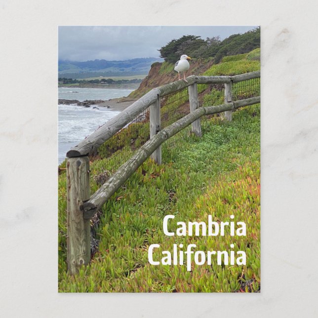 Carte Postale Cambria Californie (Devant)