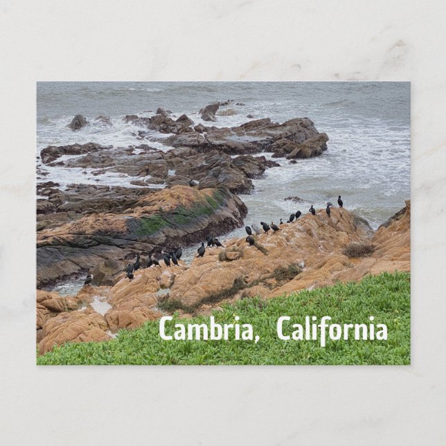 Carte Postale Cambria Californie (Devant)