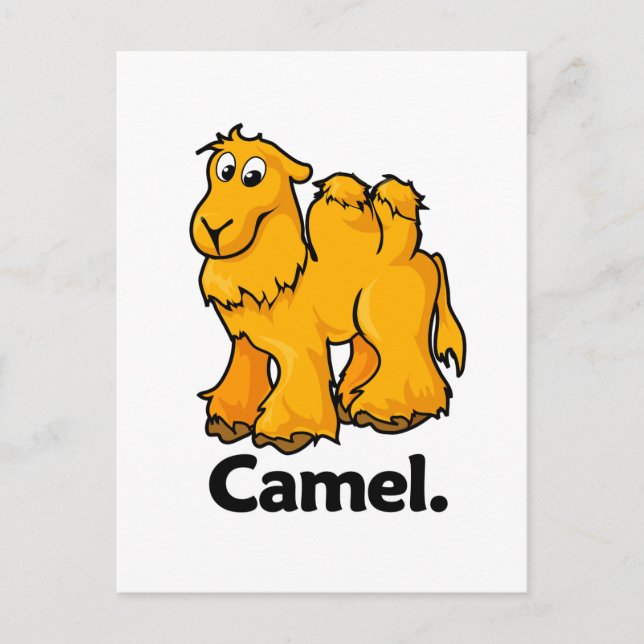 Carte Postale Camel. (Devant)