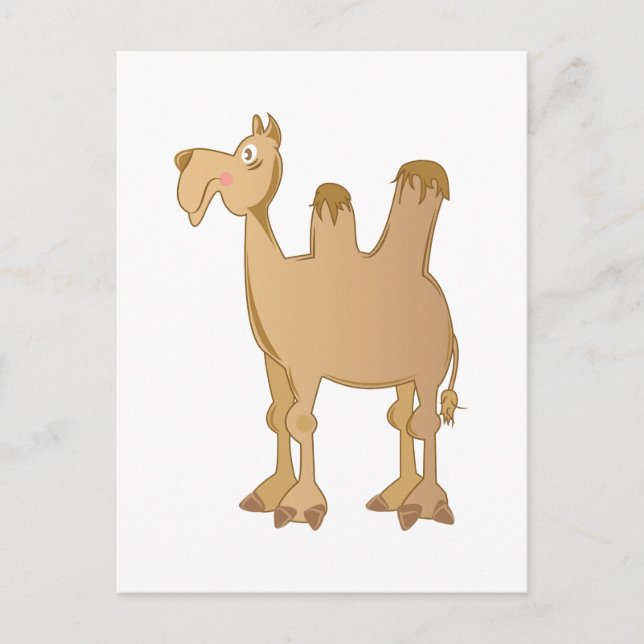 Carte Postale Camel (Devant)