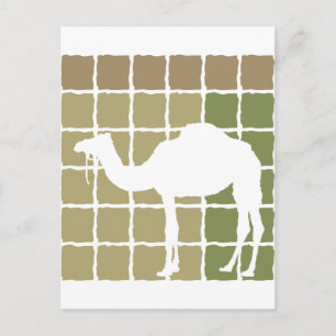 Carte Postale Camel