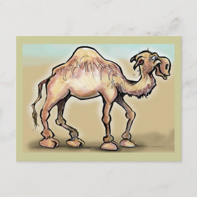 Carte Postale Camel (Devant)