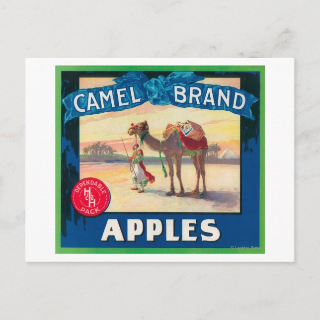 Carte Postale Camel Apple Étiquette - État de Washington (Devant)