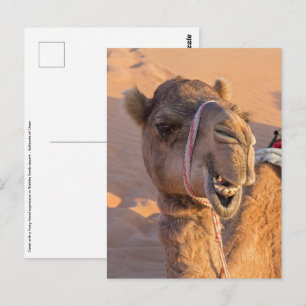 Carte Postale Camel avec une drôle d'expression faciale - Oman