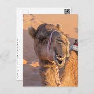 Carte Postale Camel avec une drôle d'expression faciale - Oman
