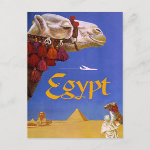Carte Postale Camel d'Égypte