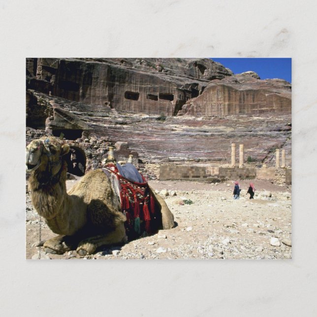 Carte Postale Camel devant le Théâtre Romain, Jordanie (Devant)