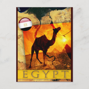 CARTE POSTALE CAMEL ÉGYPTIEN