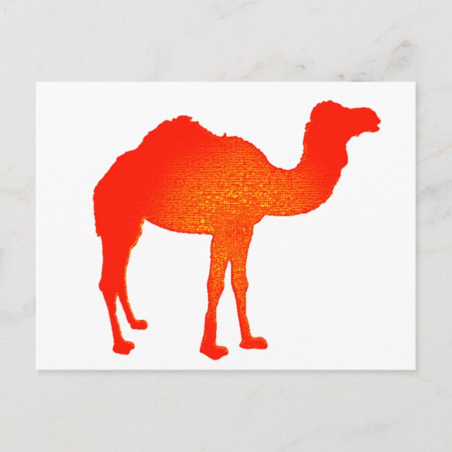Carte Postale Camel en rouge (Devant)