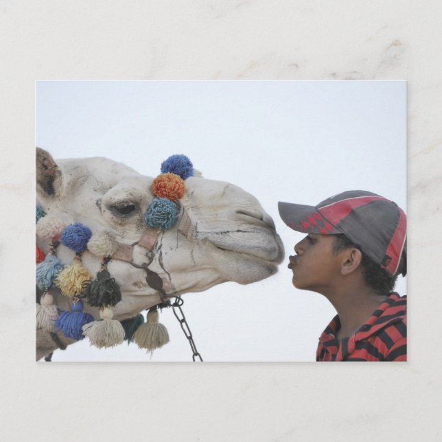 Carte Postale Camel et garçon (Devant)